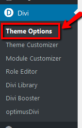 Navigate to divi theme options