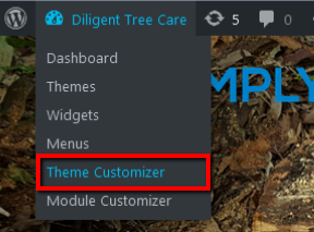Navigate to theme customiser from front of website