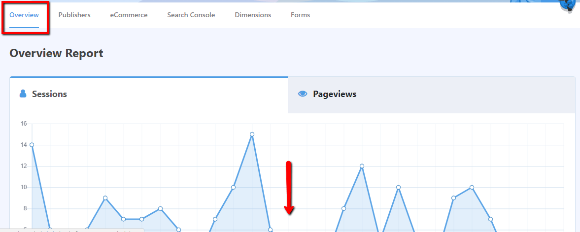 overview tab with website analytics